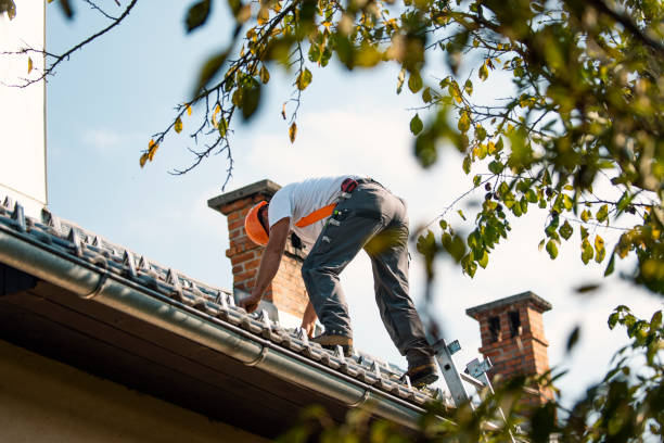 Best Roof Gutter Cleaning  in Waterford, WI