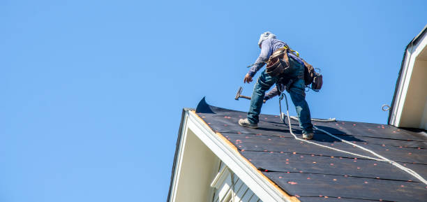 Best Metal Roofing Contractor  in Waterford, WI